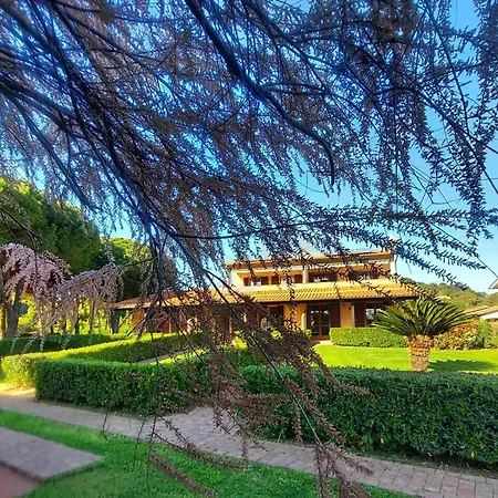 Lido Azzurro 3*
